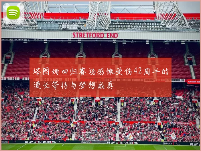 塔图姆回归赛场感慨受伤42周半的漫长等待与梦想成真