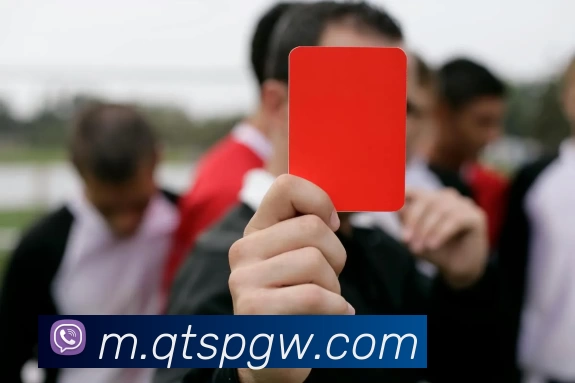 球探体育官网品牌故事